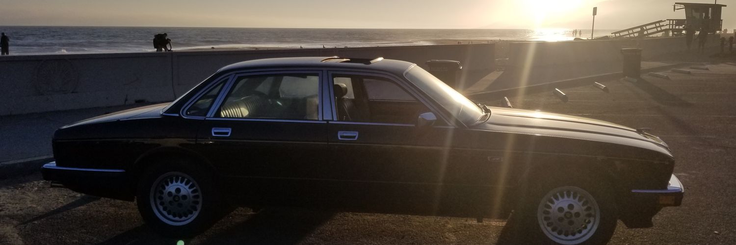 MuttonChoppin's profile banner image