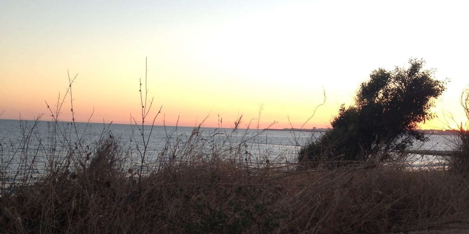 almualonso3's profile banner image