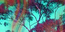lBellabesthya's profile banner image