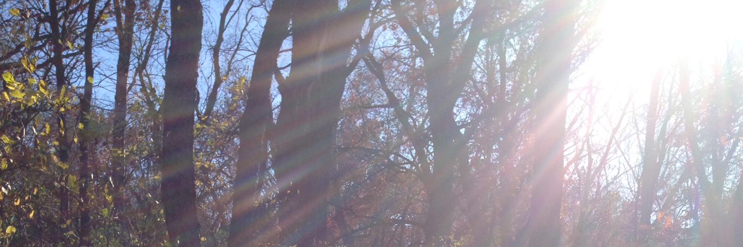 kelmccourtney's profile banner image