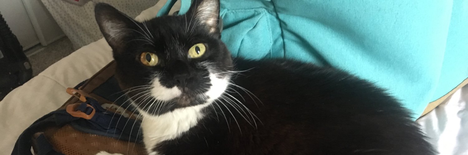KelsieActon's profile banner image