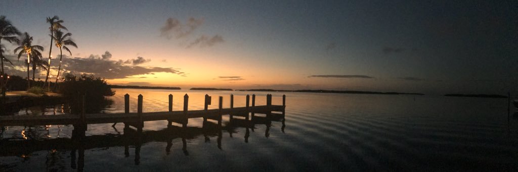 KinMoroney's profile banner image
