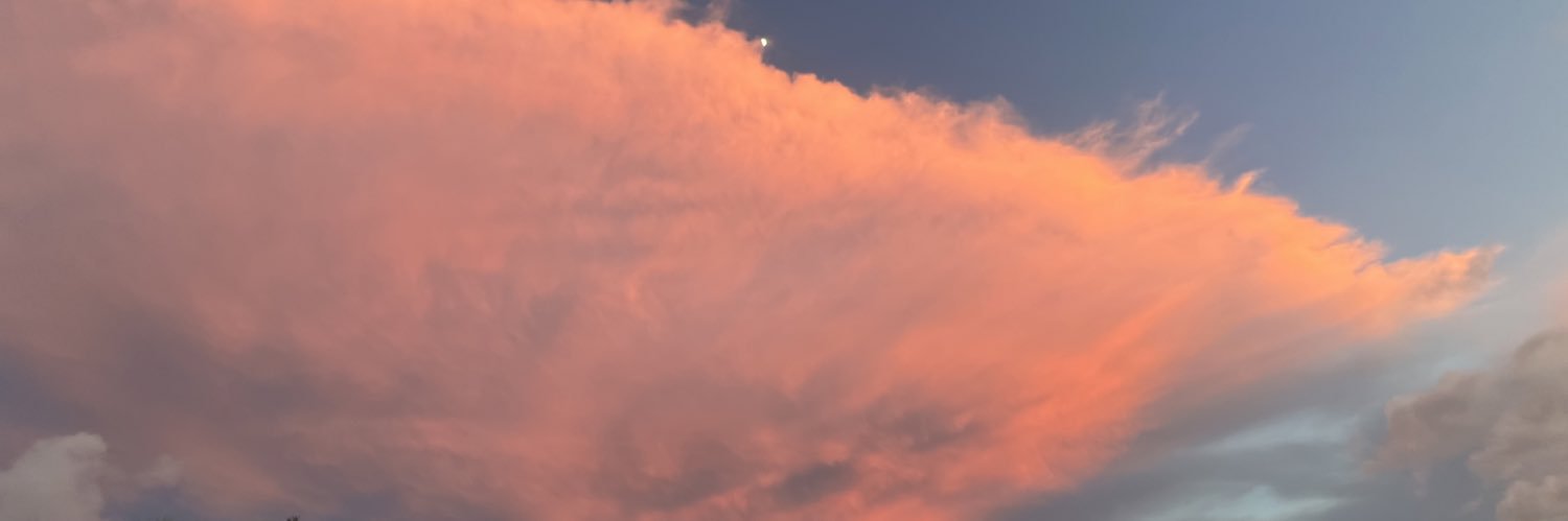 beatriz_motta's profile banner image