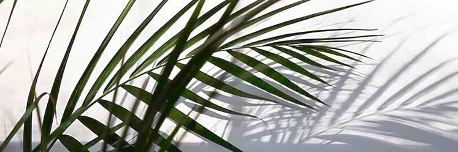 Biore_B's profile banner image