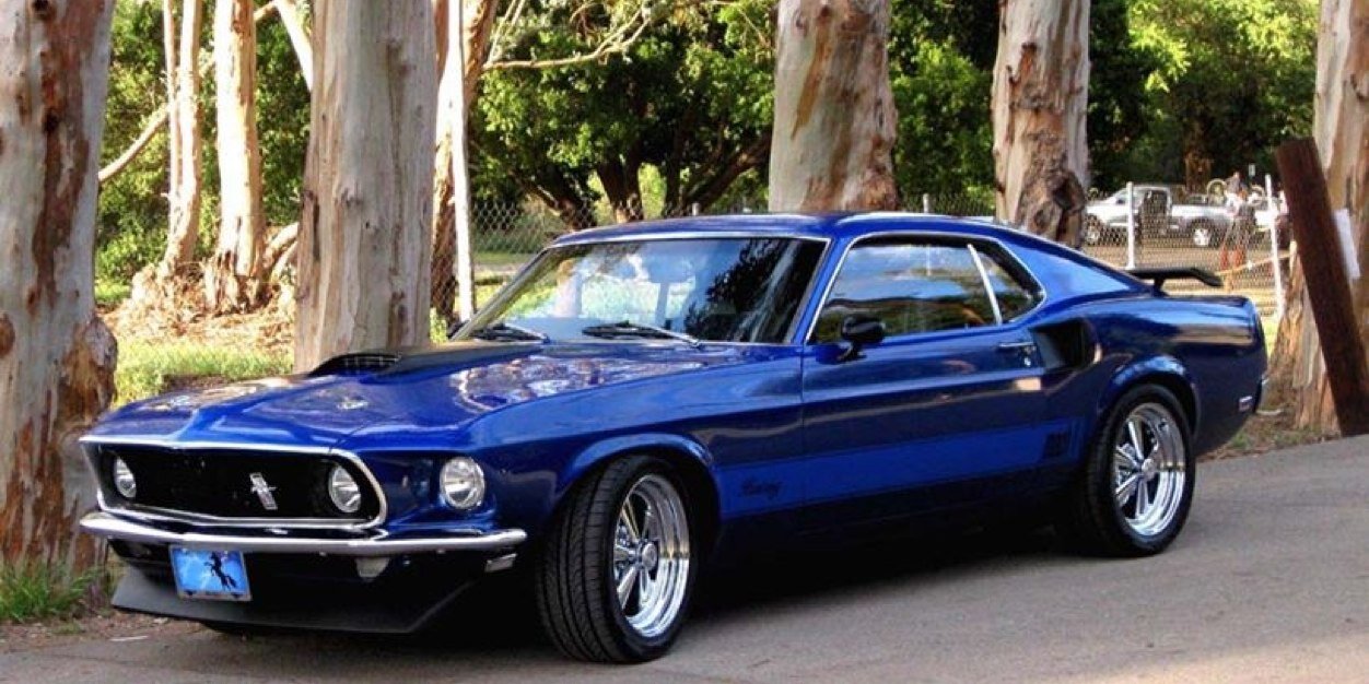 Alejandro Tafoya banner