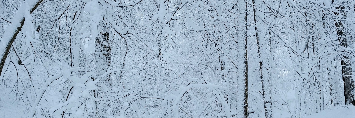 Ethan Sacoransky banner