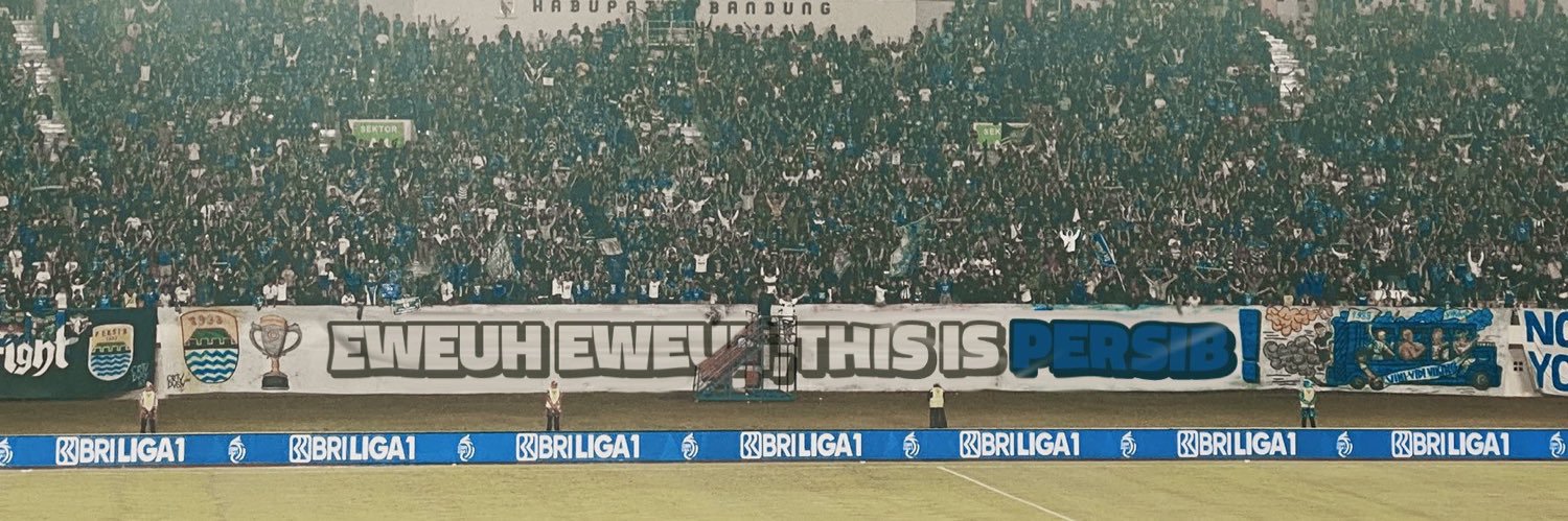 BLUE HOOLIGAN banner