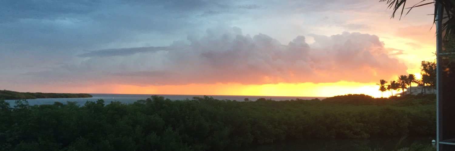 Brian Parrish banner