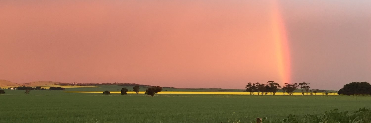 Northern Argus banner