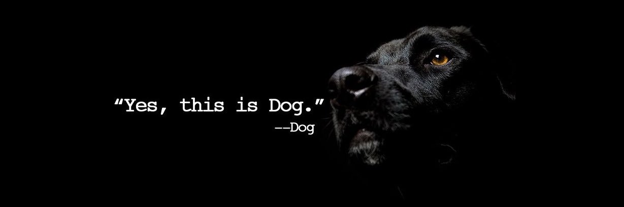 ImDatDude44's profile banner image