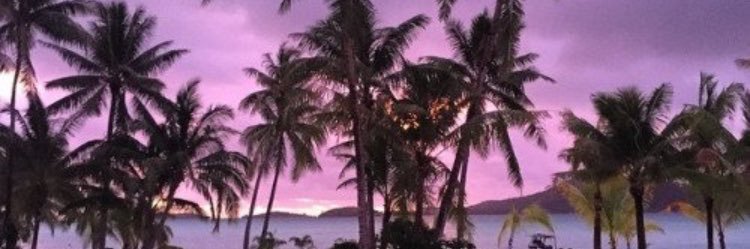 Courtney18347's profile banner image