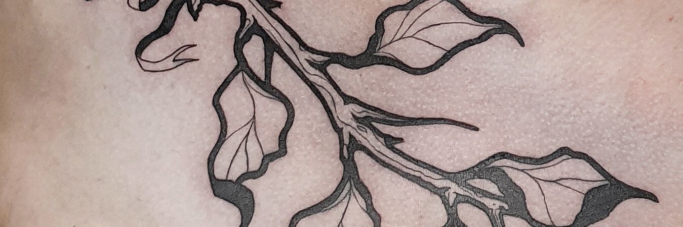 Mxa_'s profile banner image