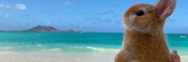 marijoo_naj's profile banner image