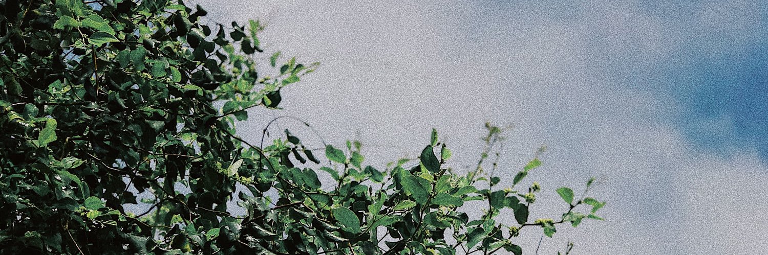 shurdelle's profile banner image