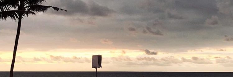 Amanta_Assiria's profile banner image