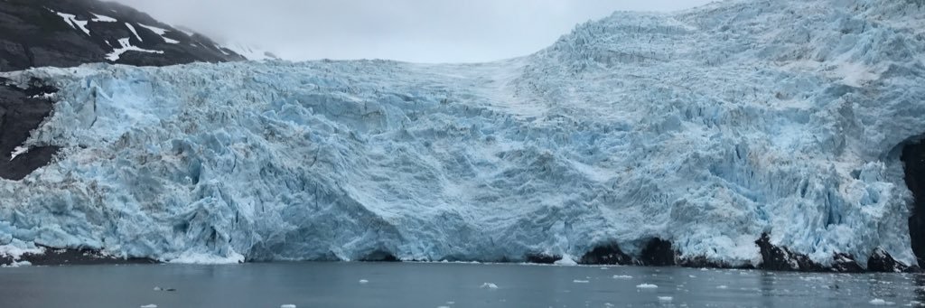 Kimberly C. Johnson banner