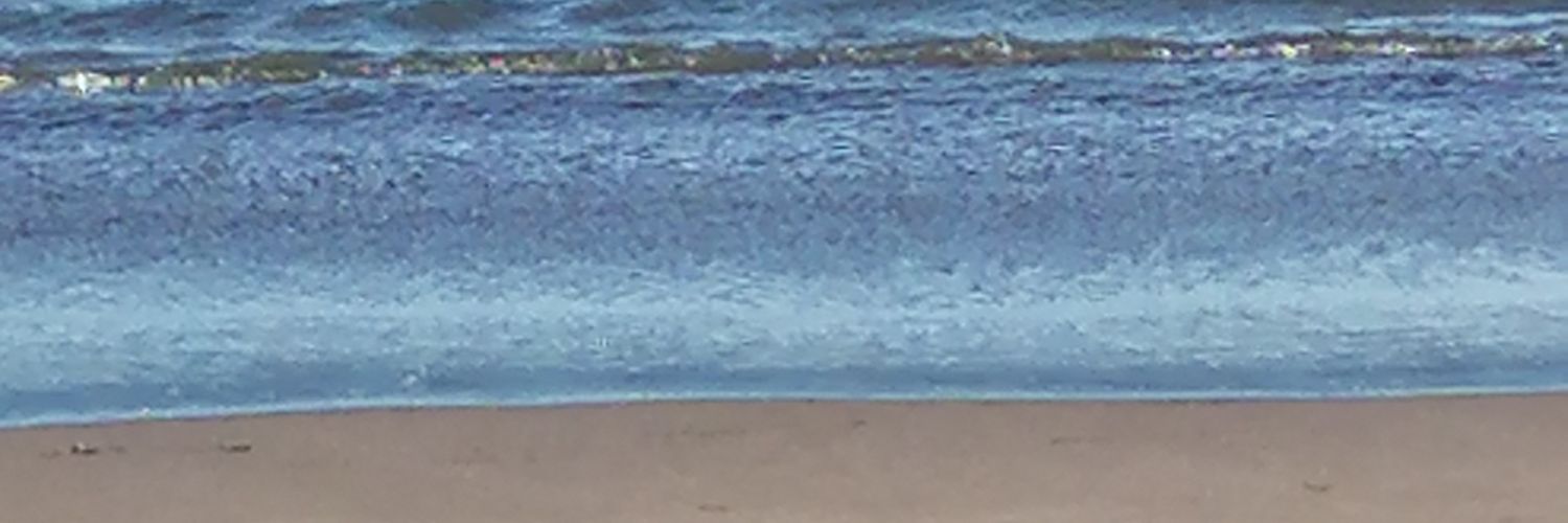 MacarenaMontec2's profile banner image