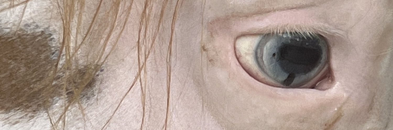 karentgzz's profile banner image