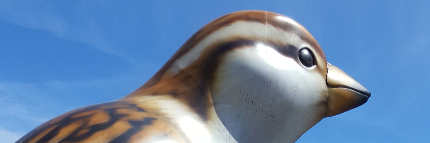libbyparkherman's profile banner image