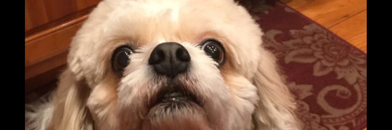 ProphitSean's profile banner image