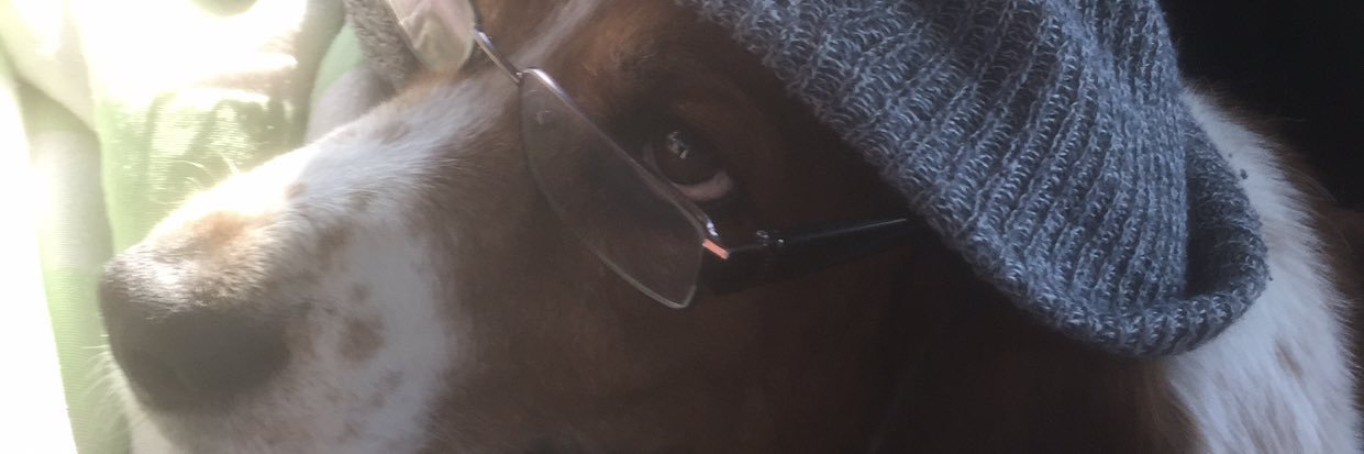 Brian banner
