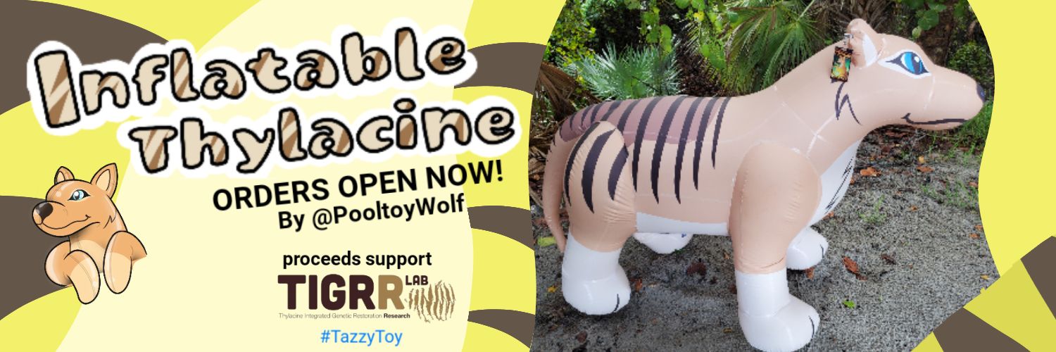 PooltoyWolf (Mac) 🏳️‍🌈 banner