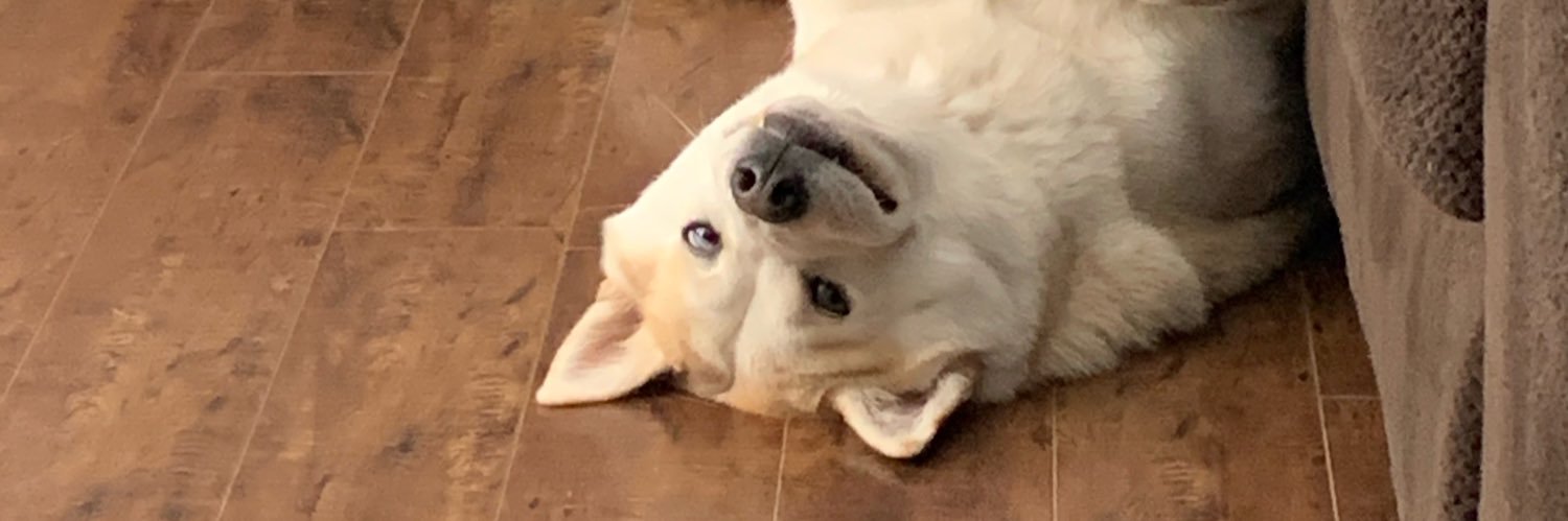 Austin “avatar420” Bartley 🌐 banner