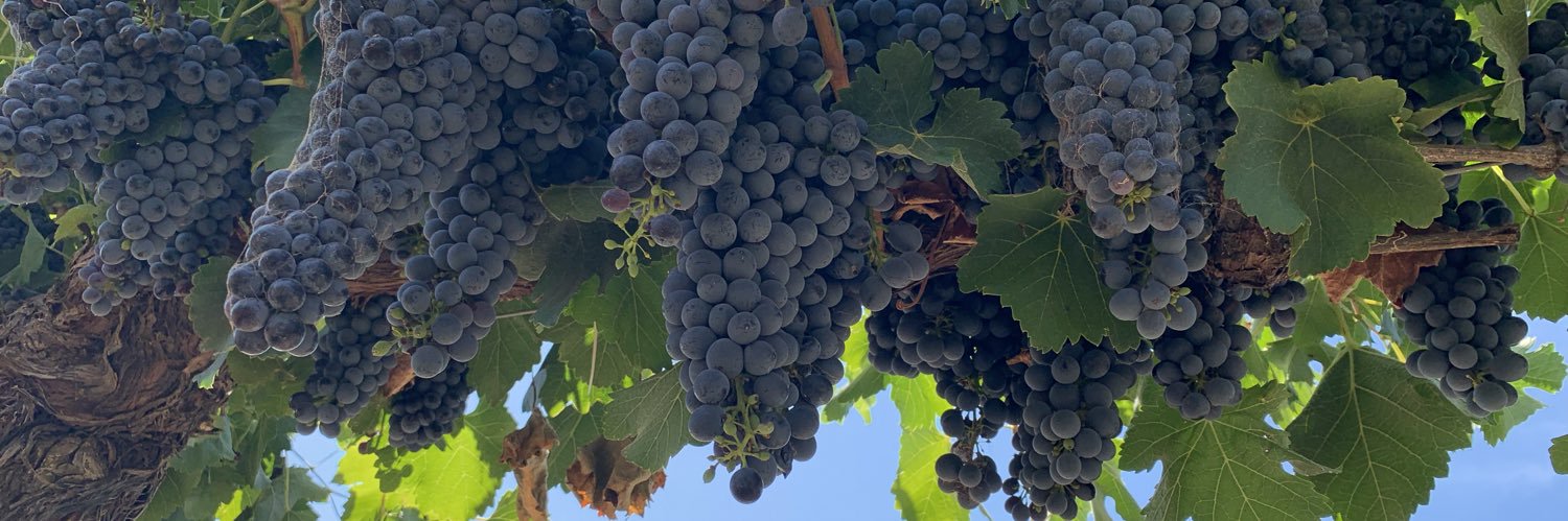 PrinthieWines's profile banner image