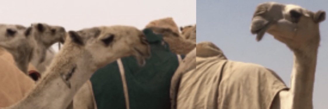 GHAZI_AMER's profile banner image