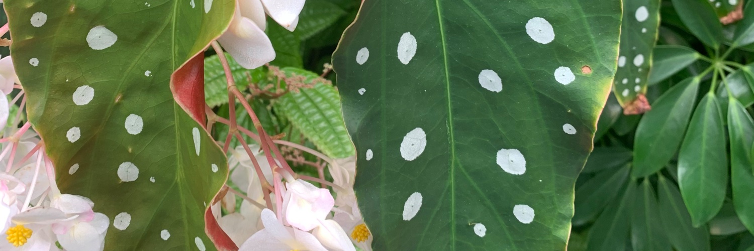 barettatheguru's profile banner image