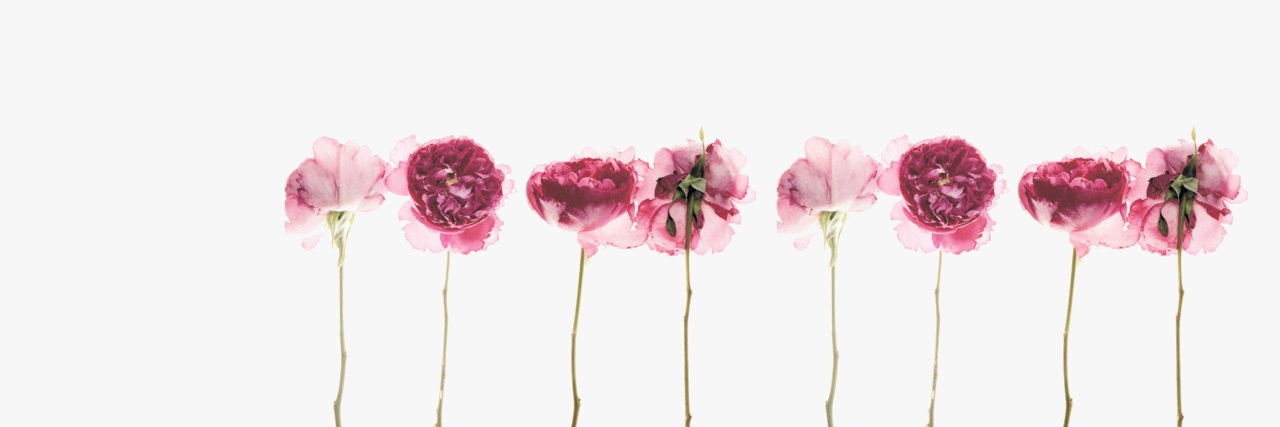 annaBieb's profile banner image
