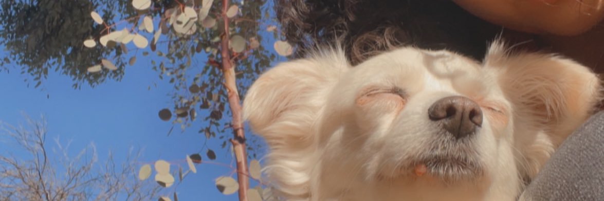 Lyssss_06's profile banner image