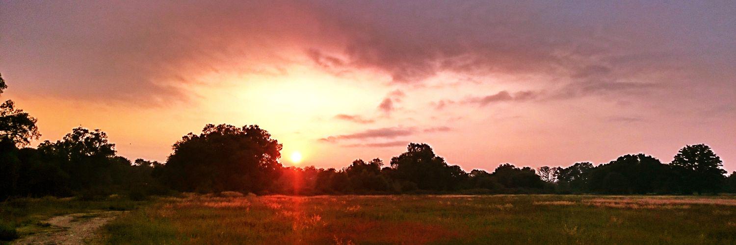 osvrodco's profile banner image