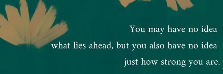 kittyharris01's profile banner image