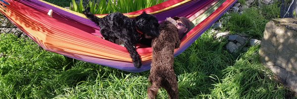 Goodchap62 Profile Banner