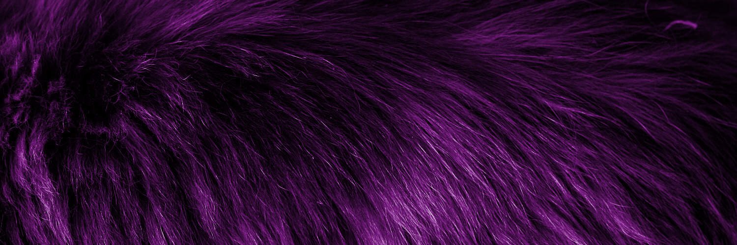 BadCat Design banner