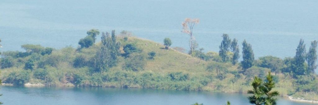 SVedaste's profile banner image