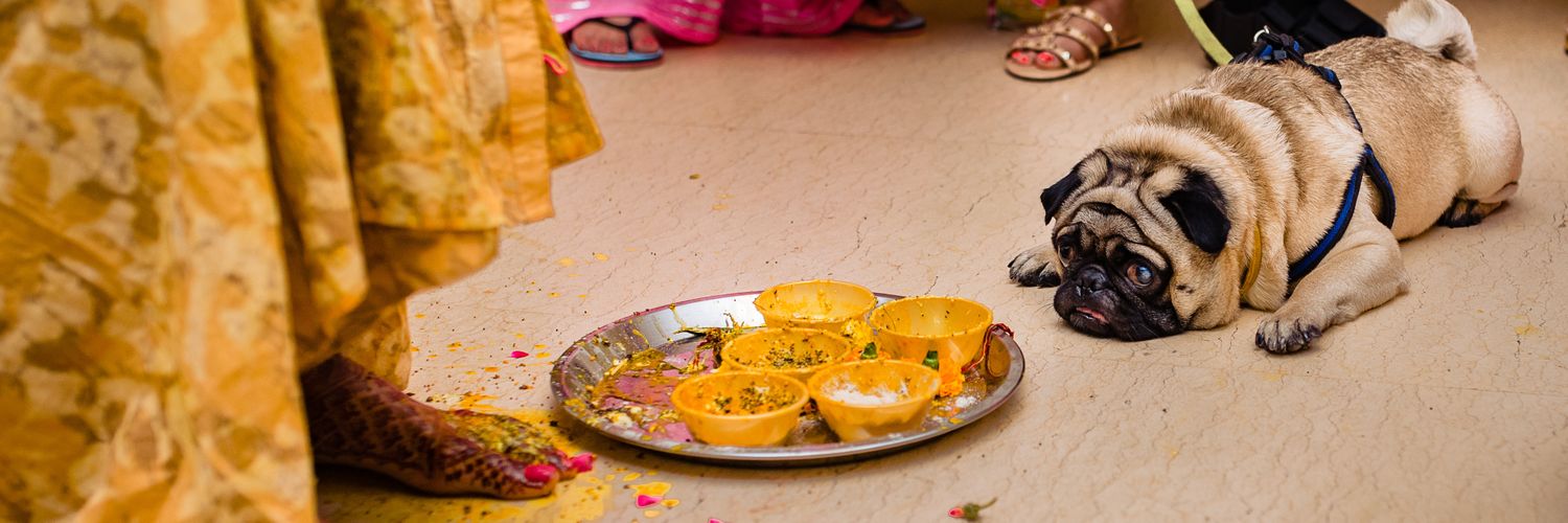 ananyaa9's profile banner image
