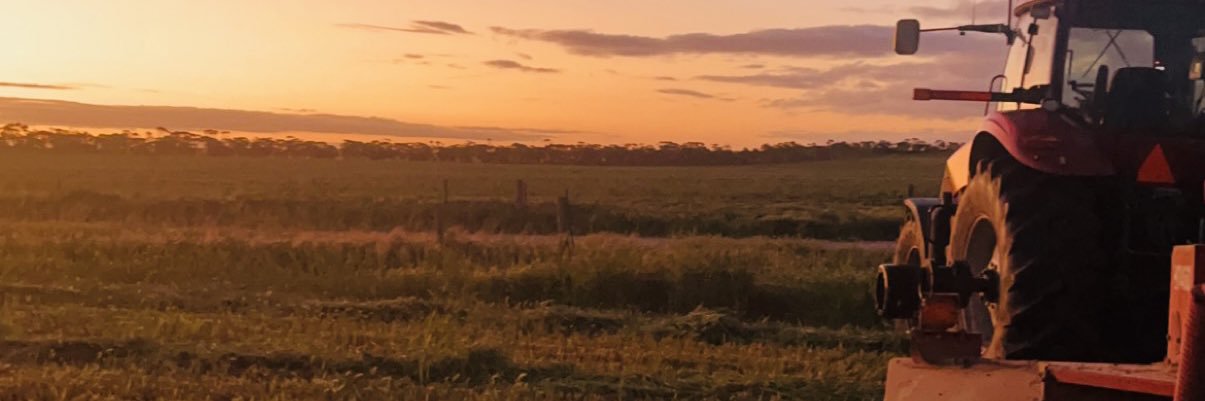 Dan Hawthorne banner