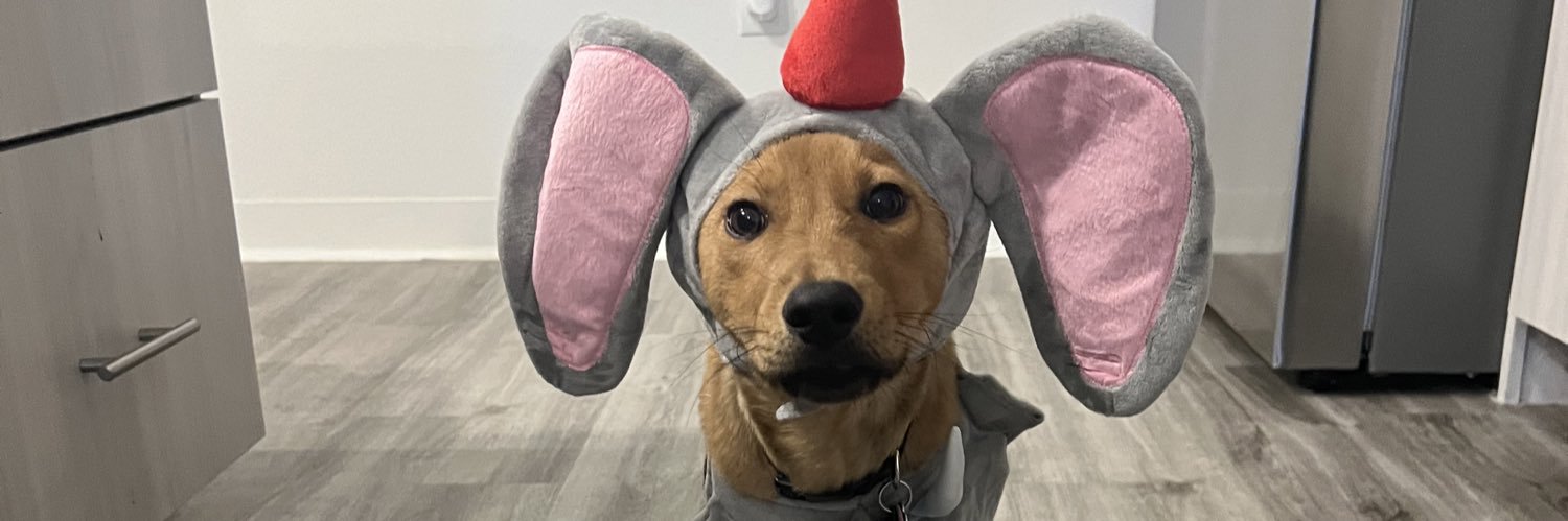 Bobby__bitch's profile banner image