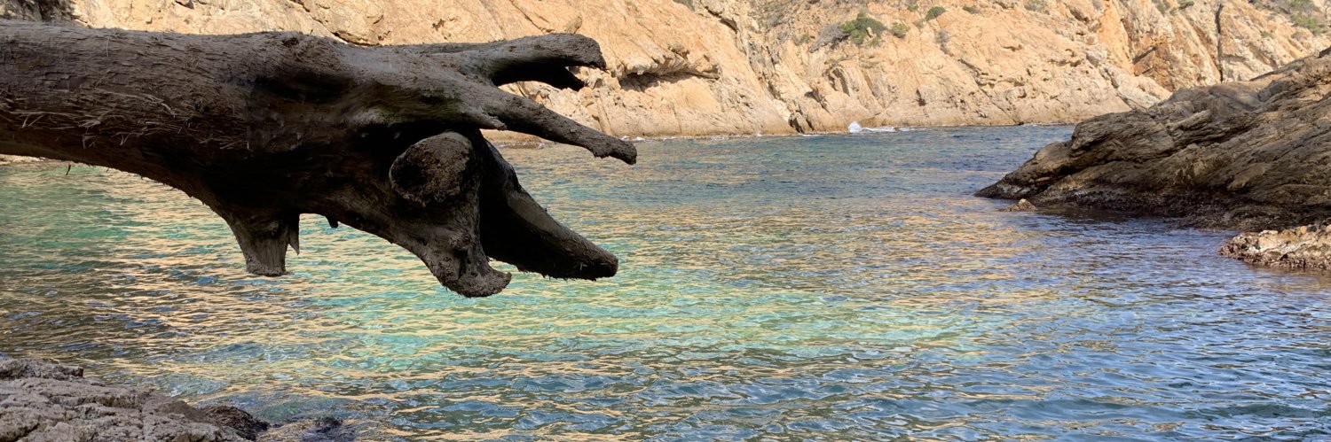 Xavier Garcia banner