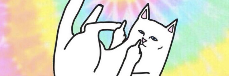 putrinovritaa's profile banner image