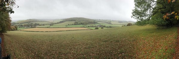 pmanross Profile Banner