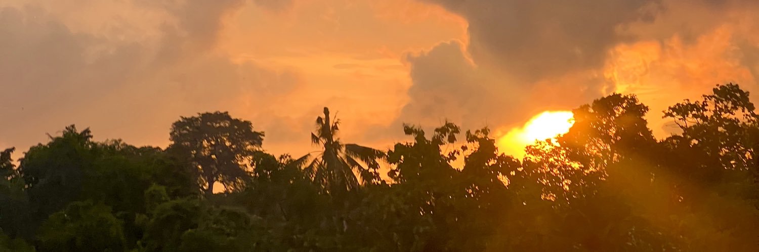 HopelesslyEmily's profile banner image