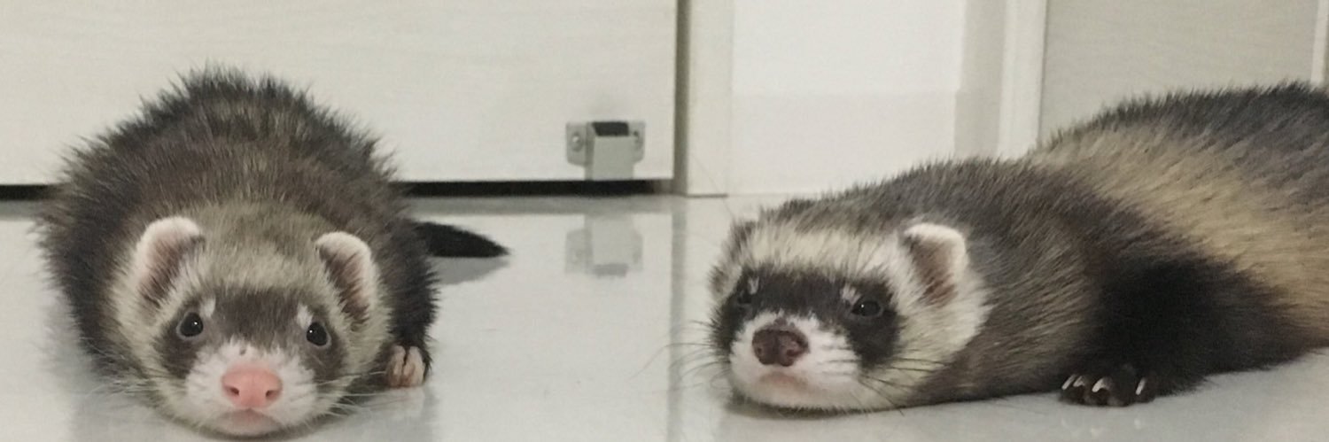 yccchin_'s profile banner image