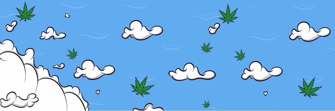 DropoutDruggie's profile banner image