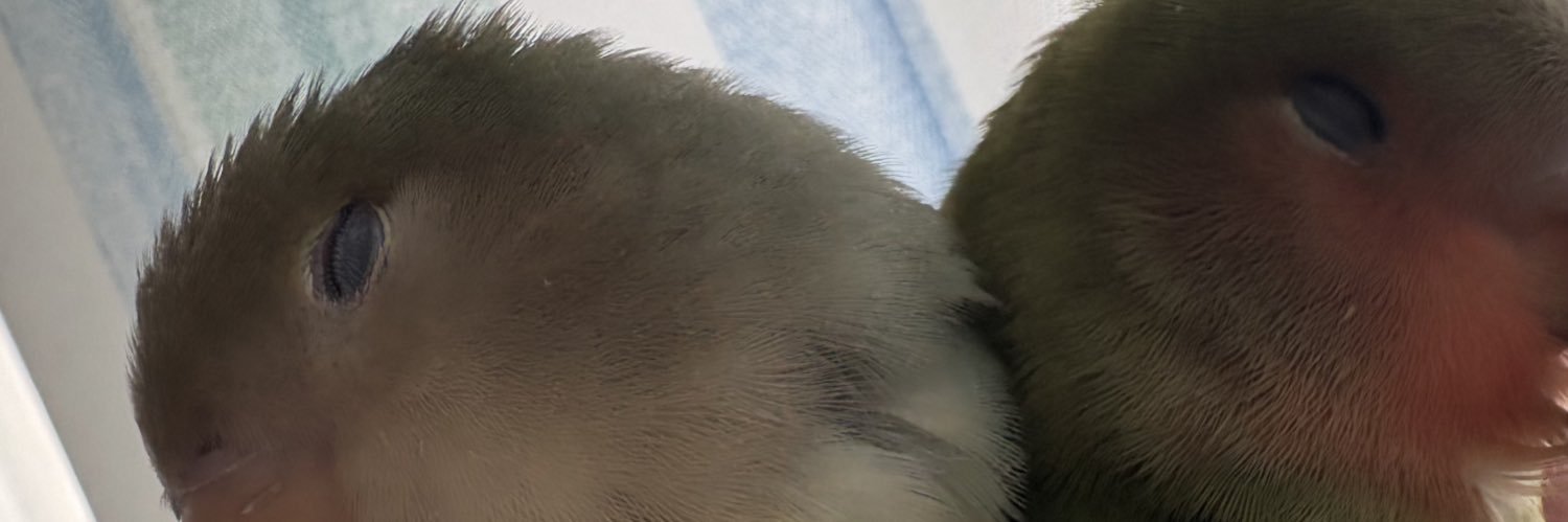 _resut_'s profile banner image