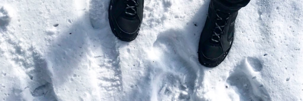 hsnghffr's profile banner image