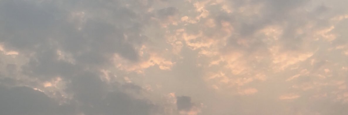 kellianngray5's profile banner image