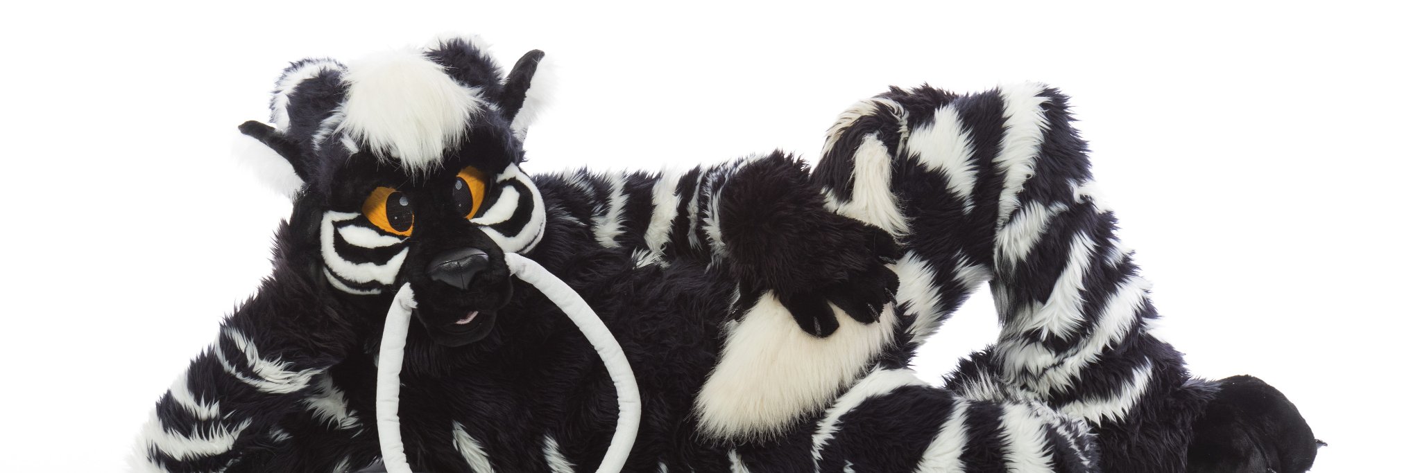InvertedStripes's profile banner image